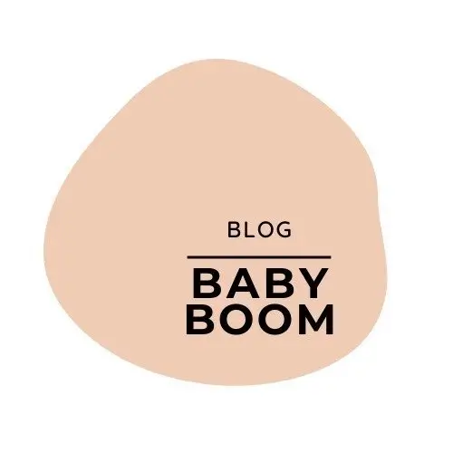 blogbabyboom