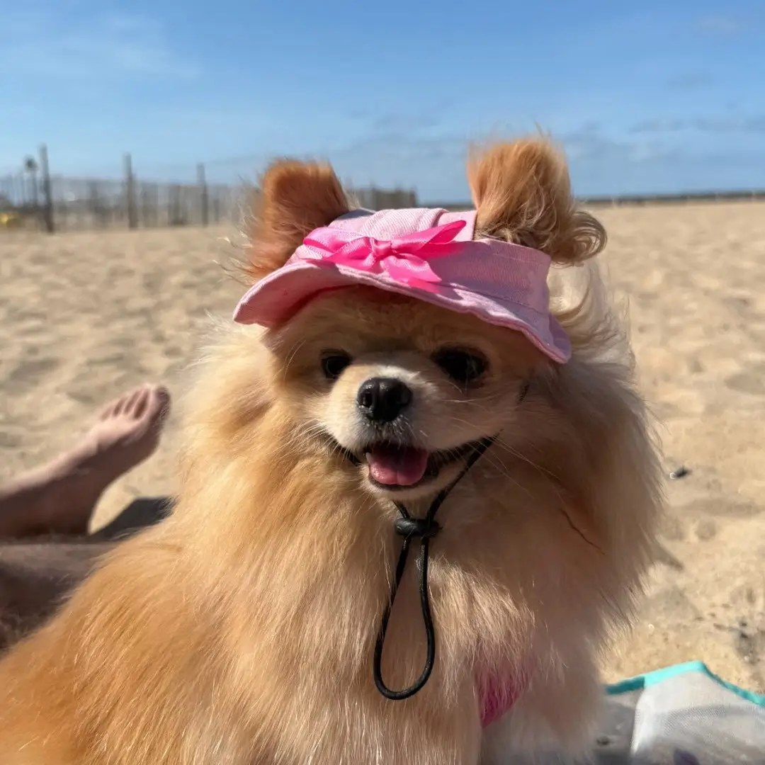 moon.thepomgirl