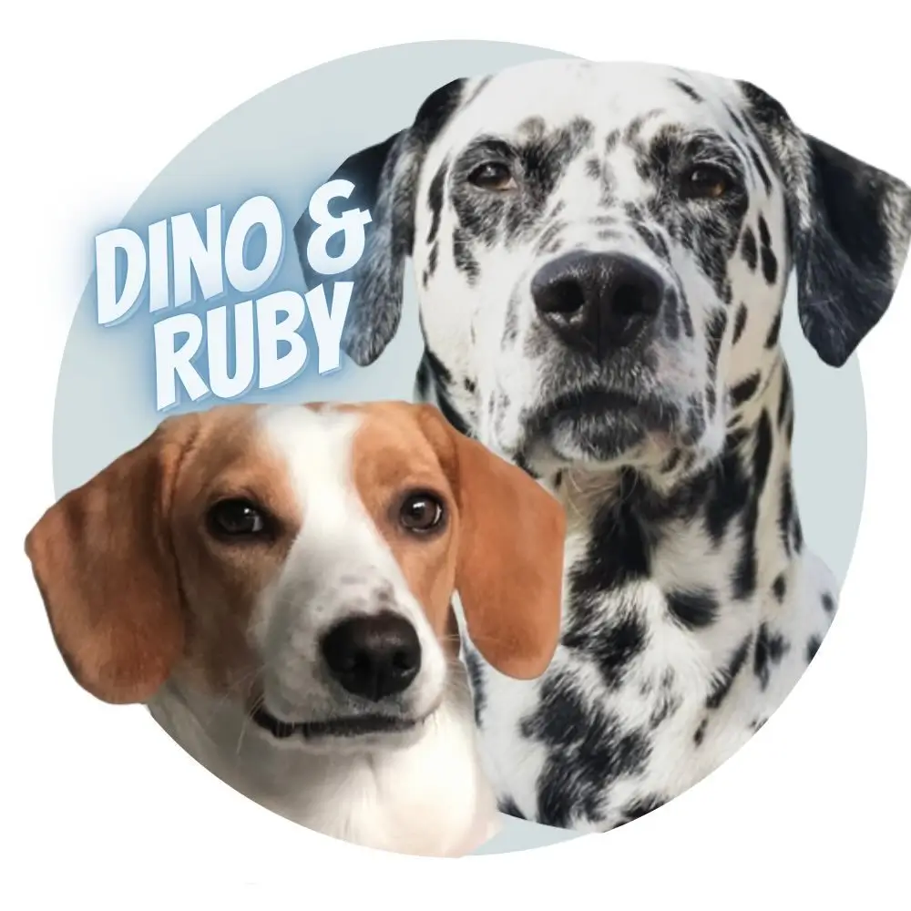 dino.and.ruby