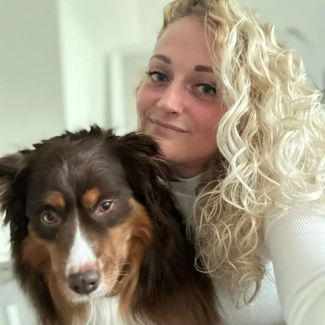 achtung.hier.shepherds