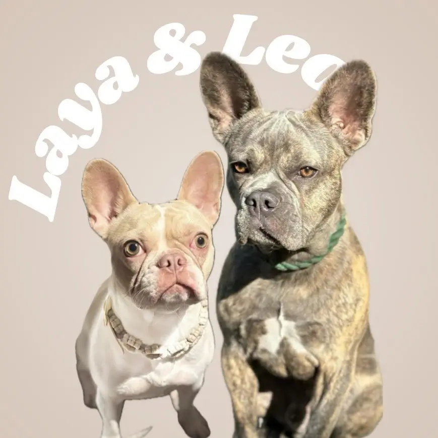 laya.and.leo_
