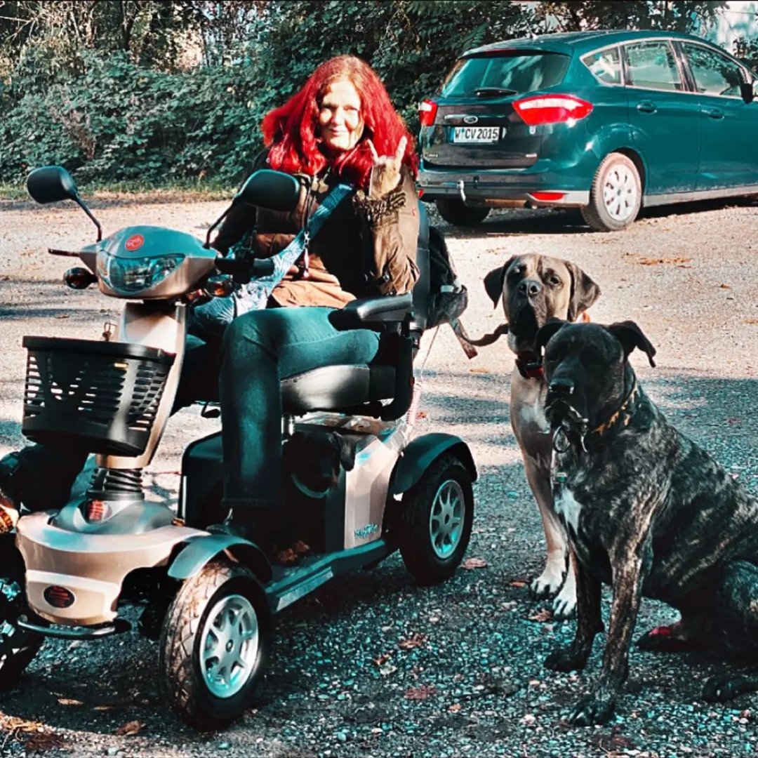 bo_presa_canario_ed_der_dackel