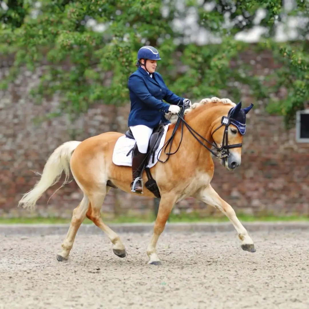 sporthaflinger_bachelor