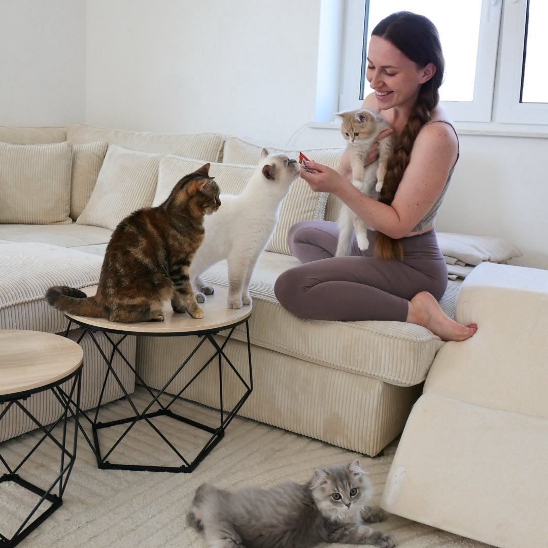 sheloveshercats_