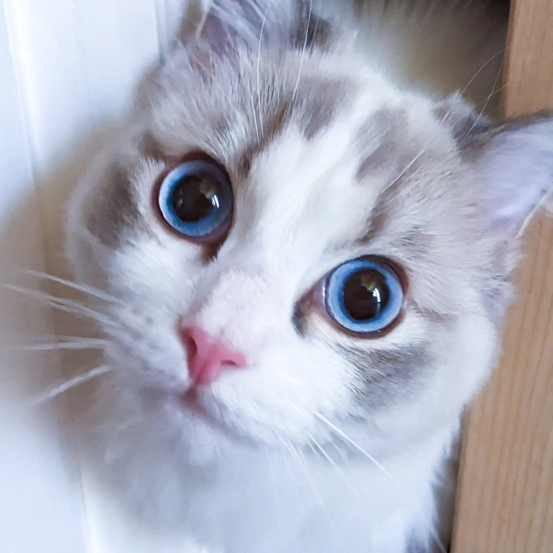 theflooftales_